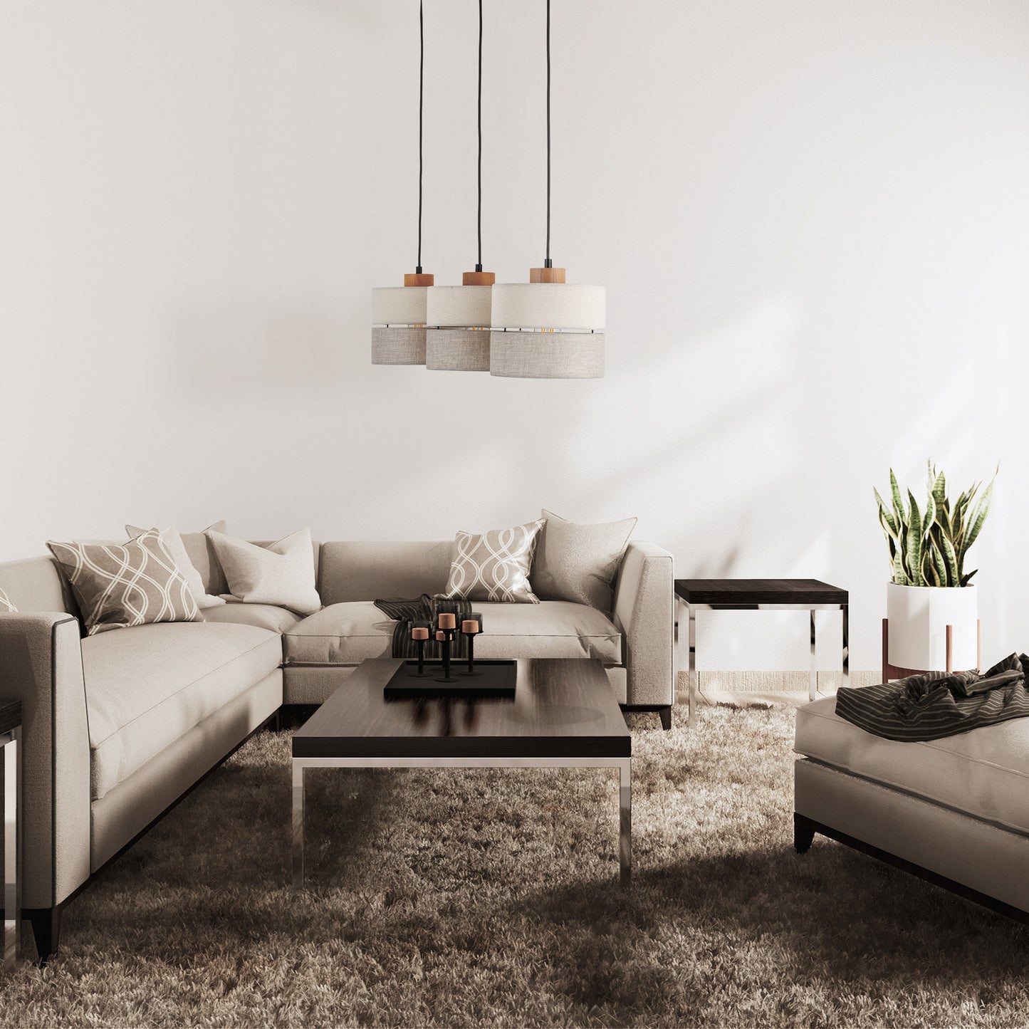 ECO Scandinavian Pendant  Light 3