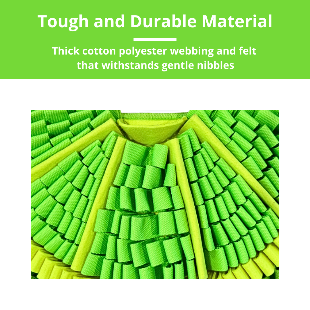Zesty Lime™ Snuffle Mat
