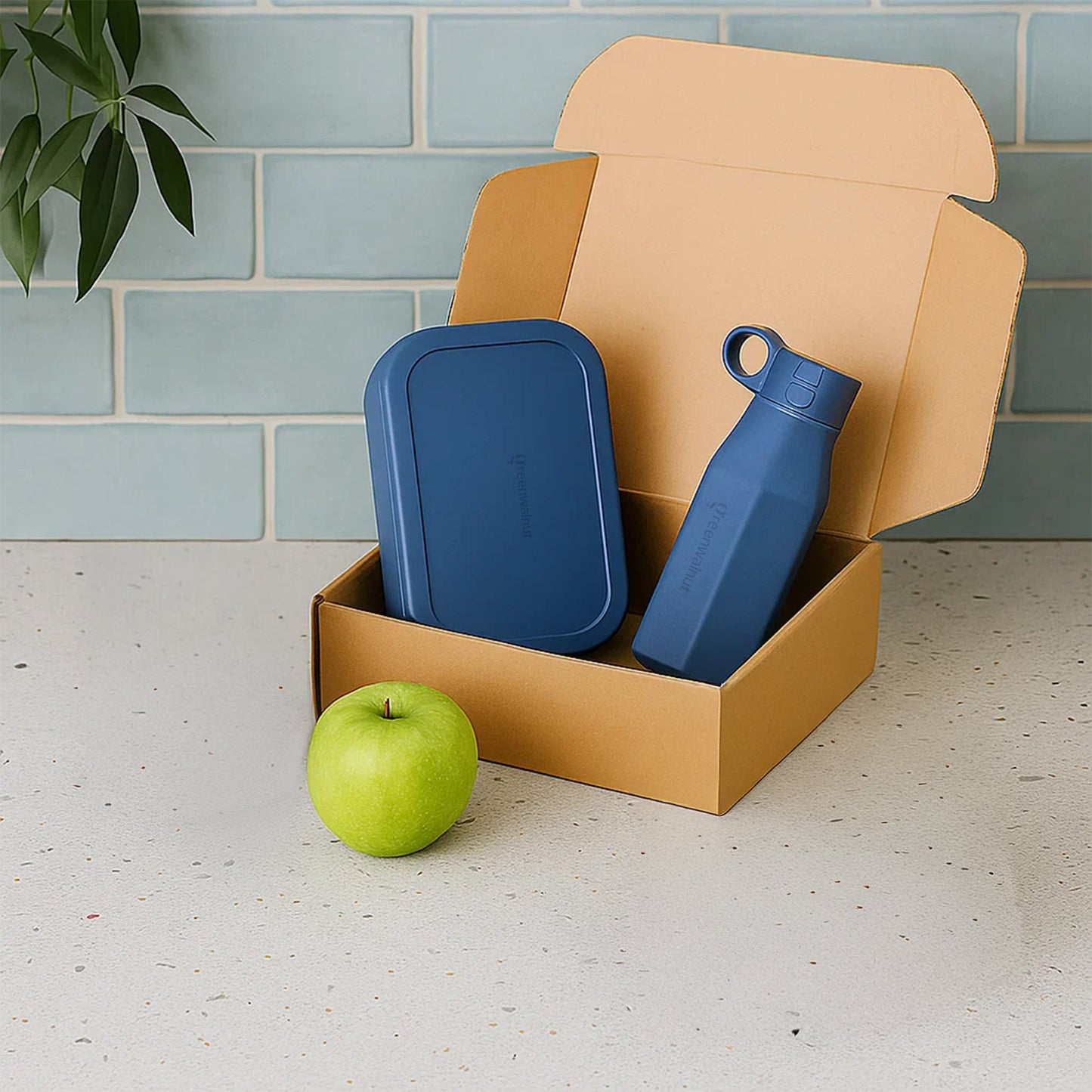 Silicone Bento Box & Silicone Bottle