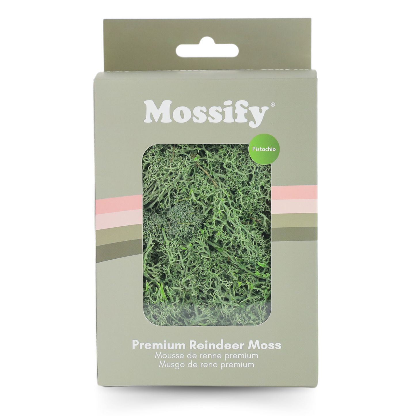 Premium Preserved Reindeer Moss