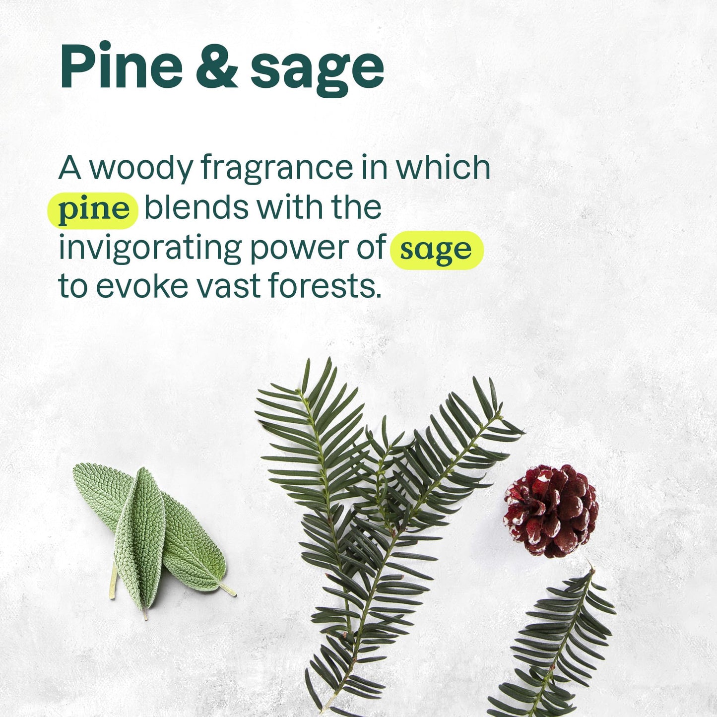 Attitude - Hand Soap - Pine & Sage (473ml)