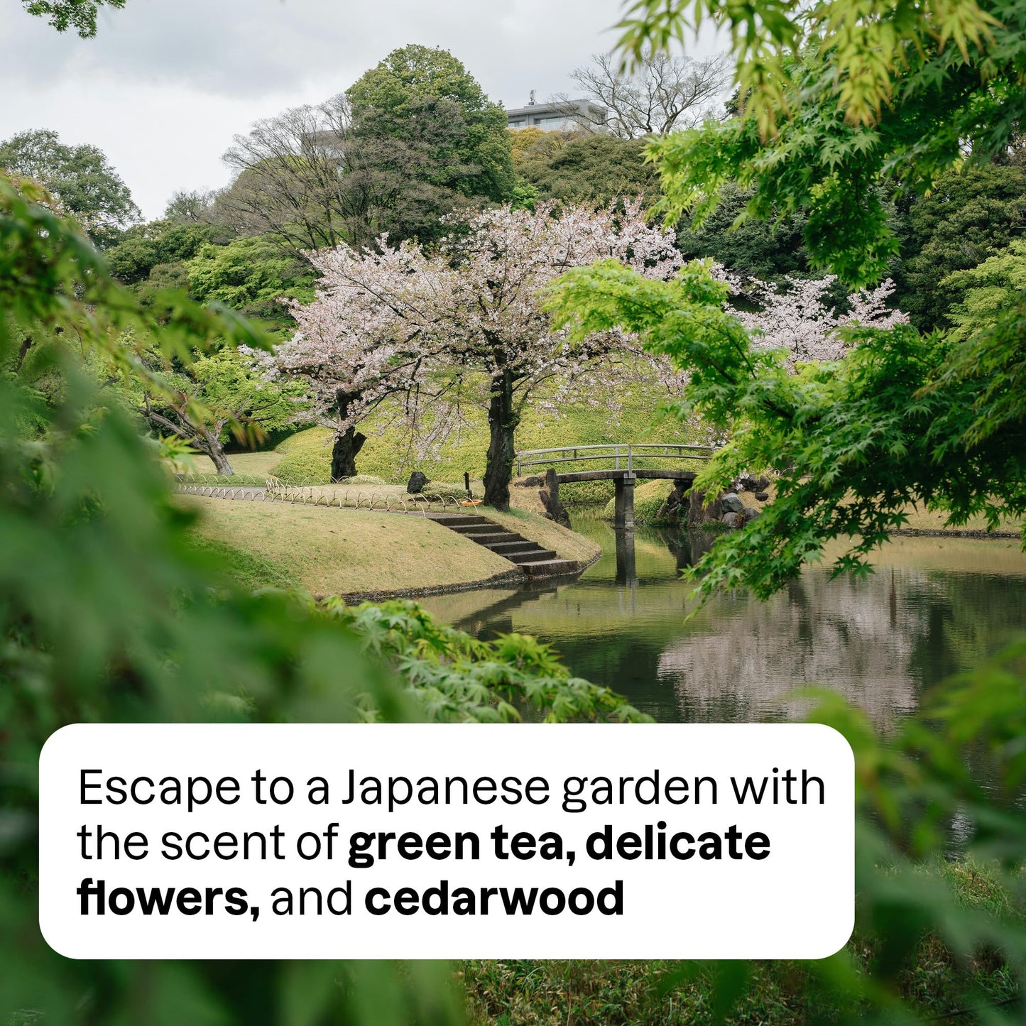 Attitude - Ambient Spray - Japanese Garden (240ml)