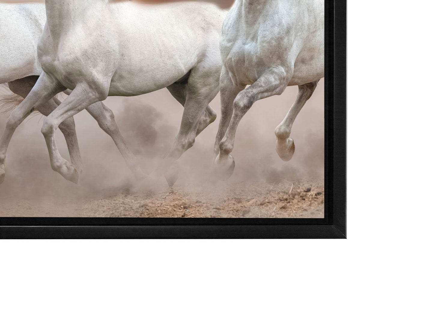 Wildlife Canvas-Arabian Horses White Sky-Wall Art