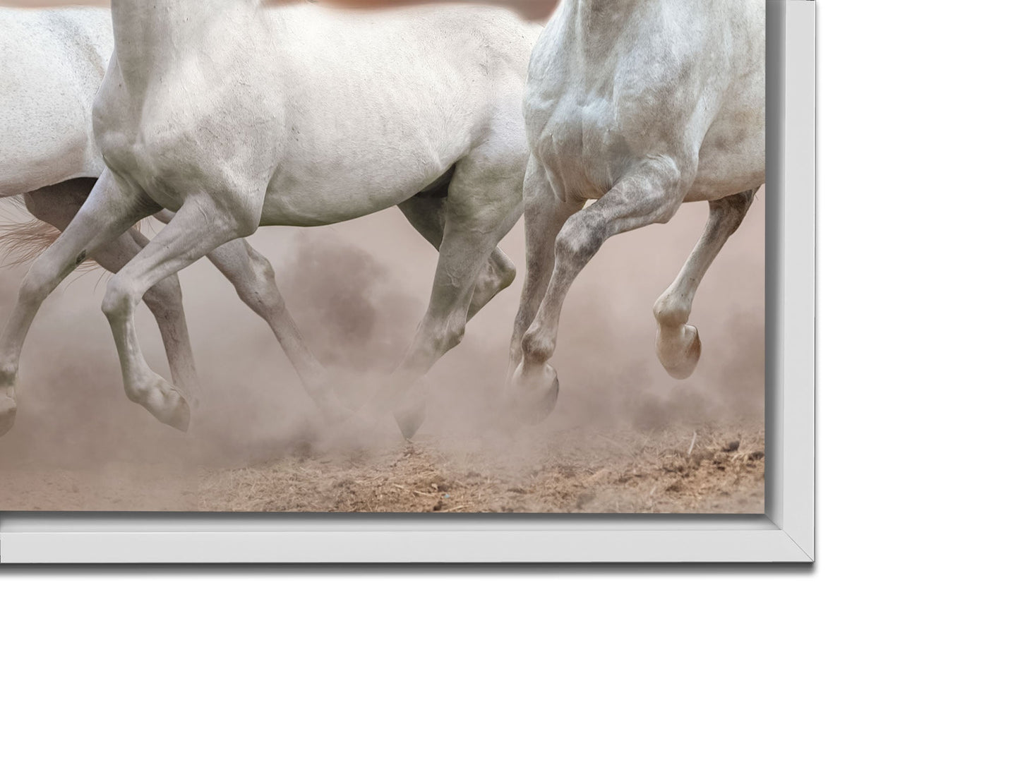 Wildlife Canvas-Arabian Horses White Sky-Wall Art