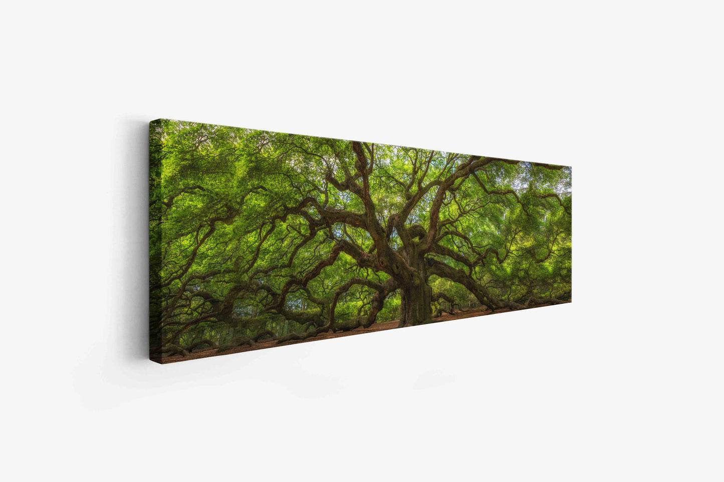 Wall Art Angel Tree 72" x 24" Canvas Print