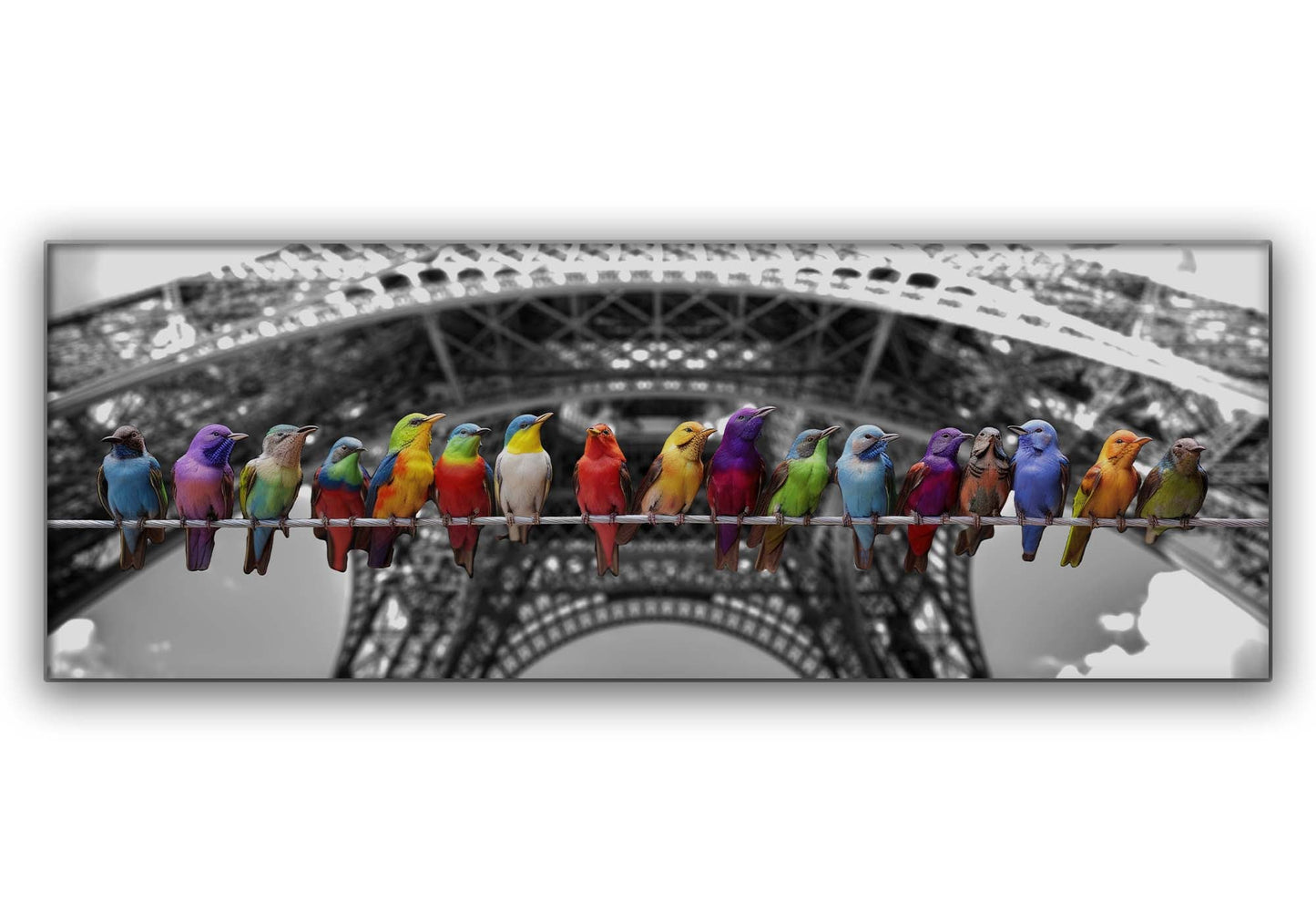 "Love Birds" Fine Art Canvas Print