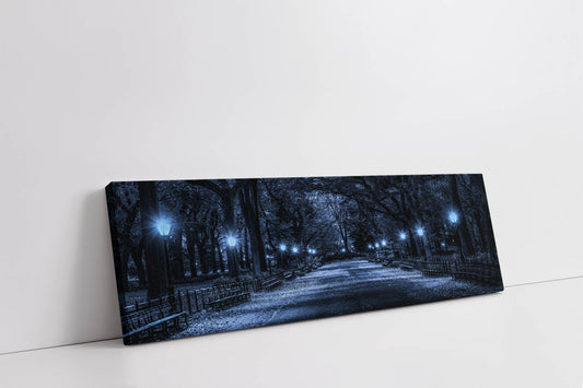 Wal Art Central Park 72" x 24"