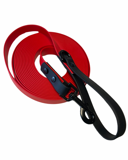 Longe - 3/4 - pour Chien en Biothane – Fait Main au Québec