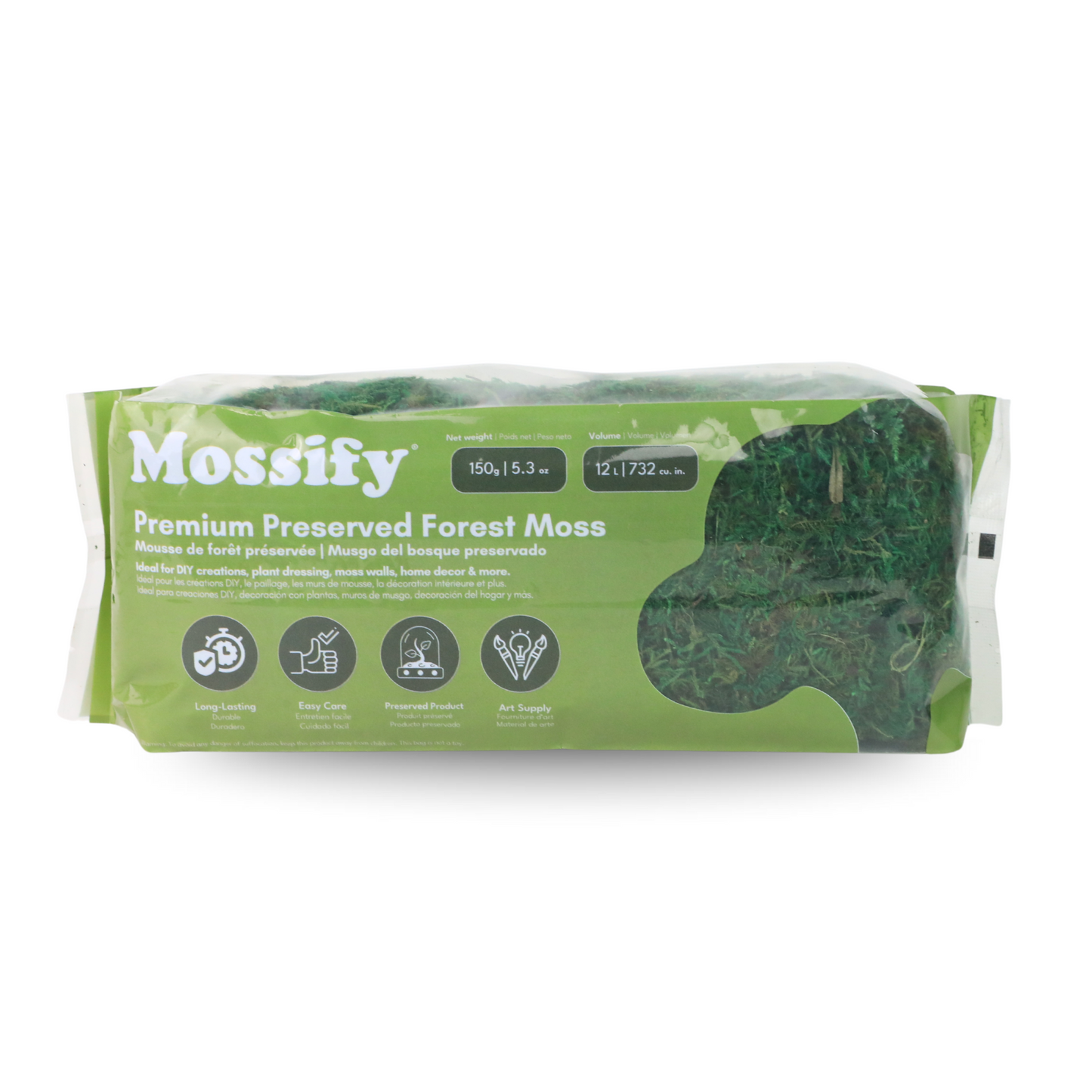 Premium Preserved Forest Moss