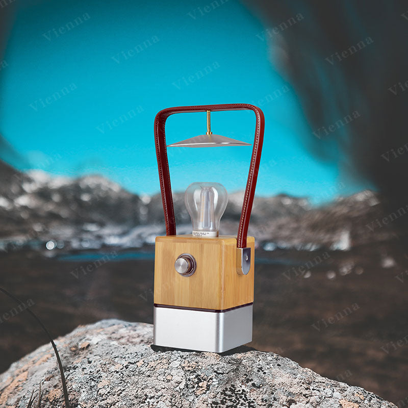 TRU De-LIGHT VIENNA LED, Dimmable Desk Lamp - Lamp / Power Bank / Decoration All-In-One