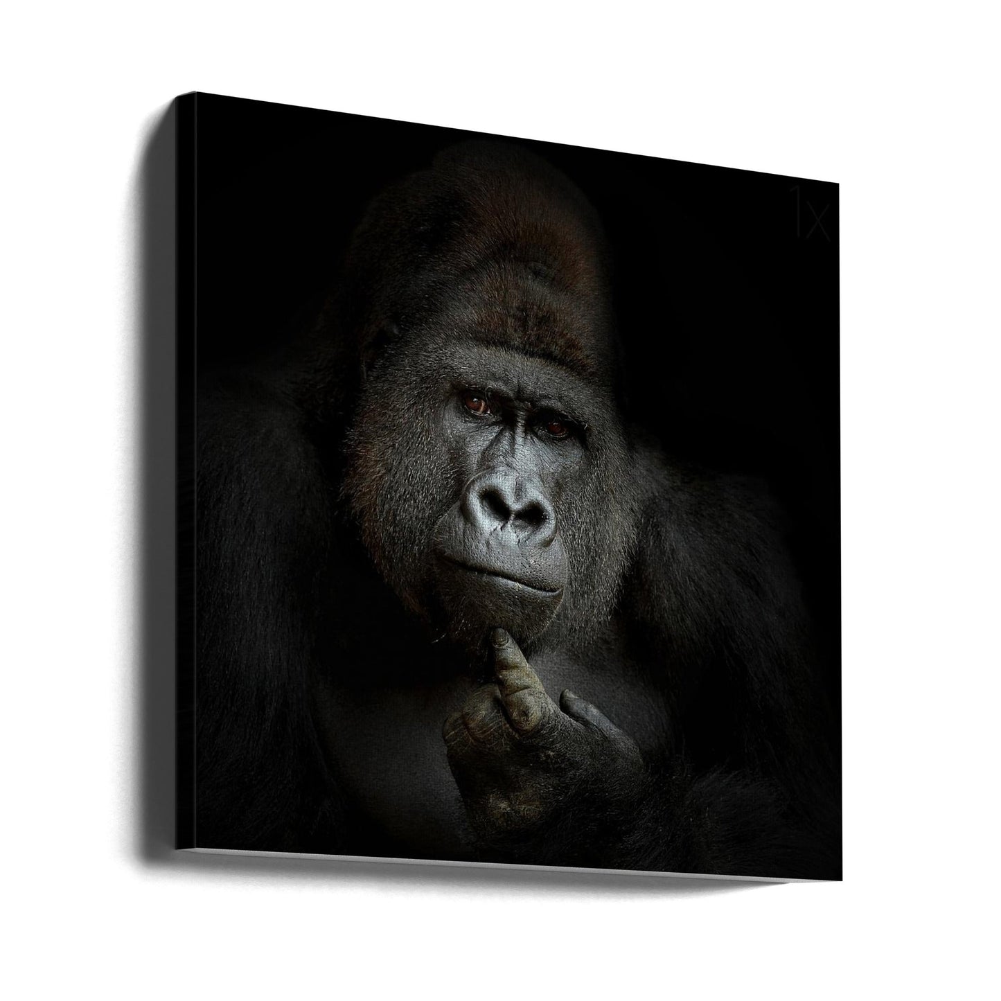 Wall Art ego cogito, ergo sum