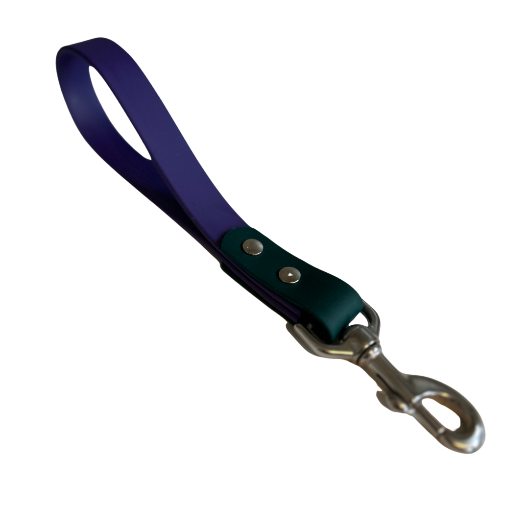 Promo poigné de rapprochement en Biothane – Élégance, Résistance et Confort pour Chien