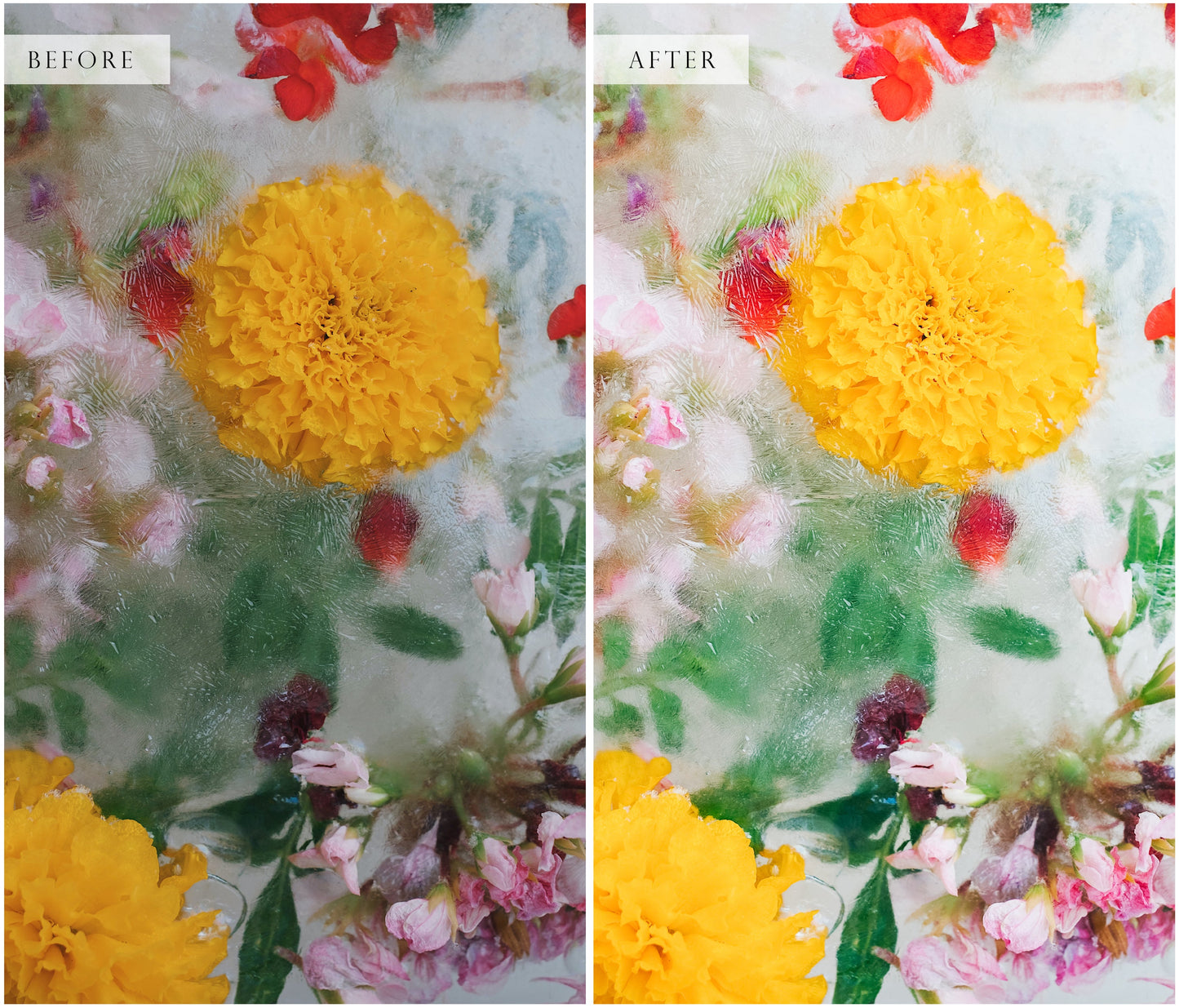 Artisan Lightroom Presets