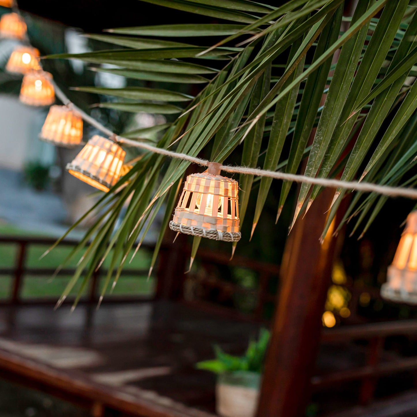 Aurora<br> Solar-charged Garland