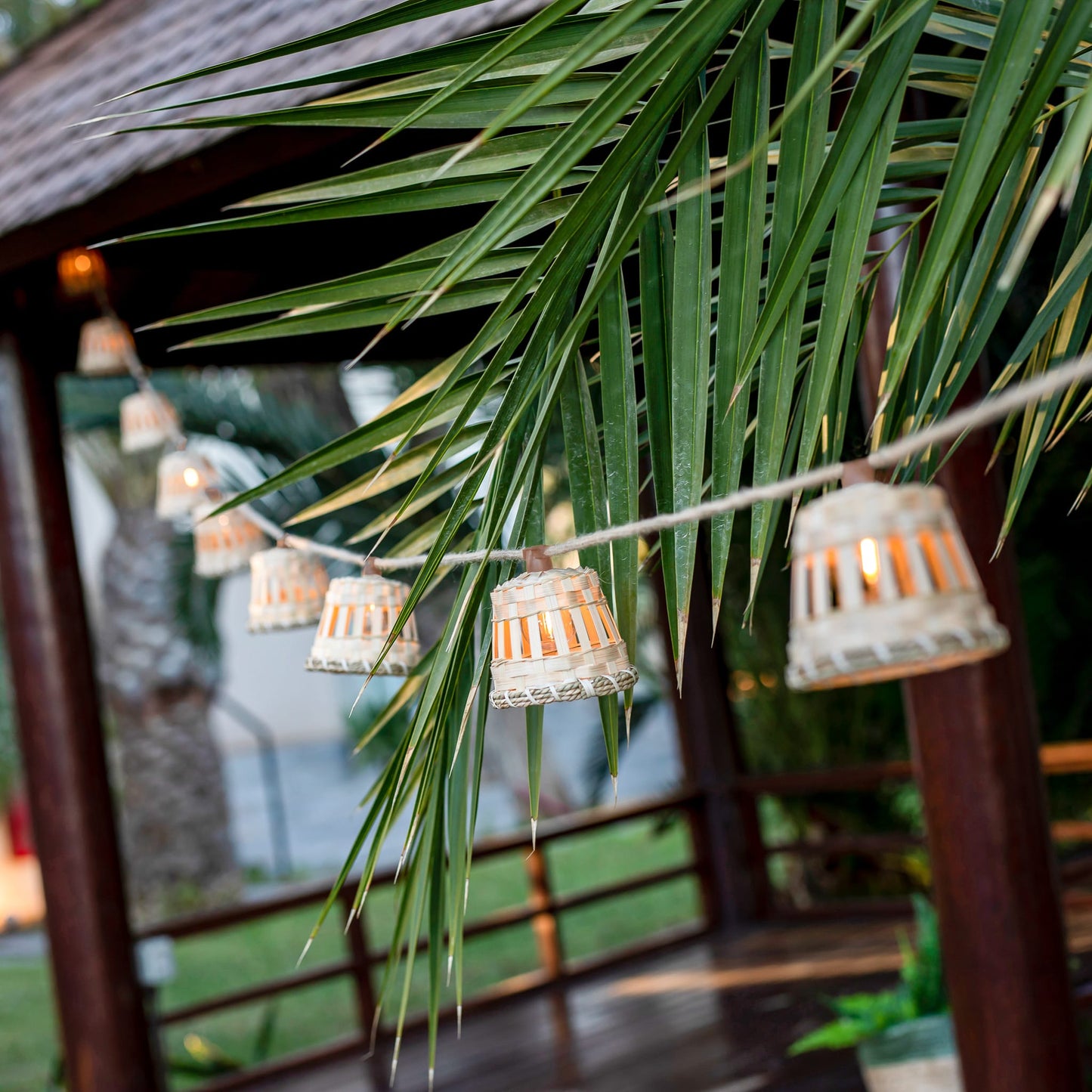 Aurora<br> Solar-charged Garland