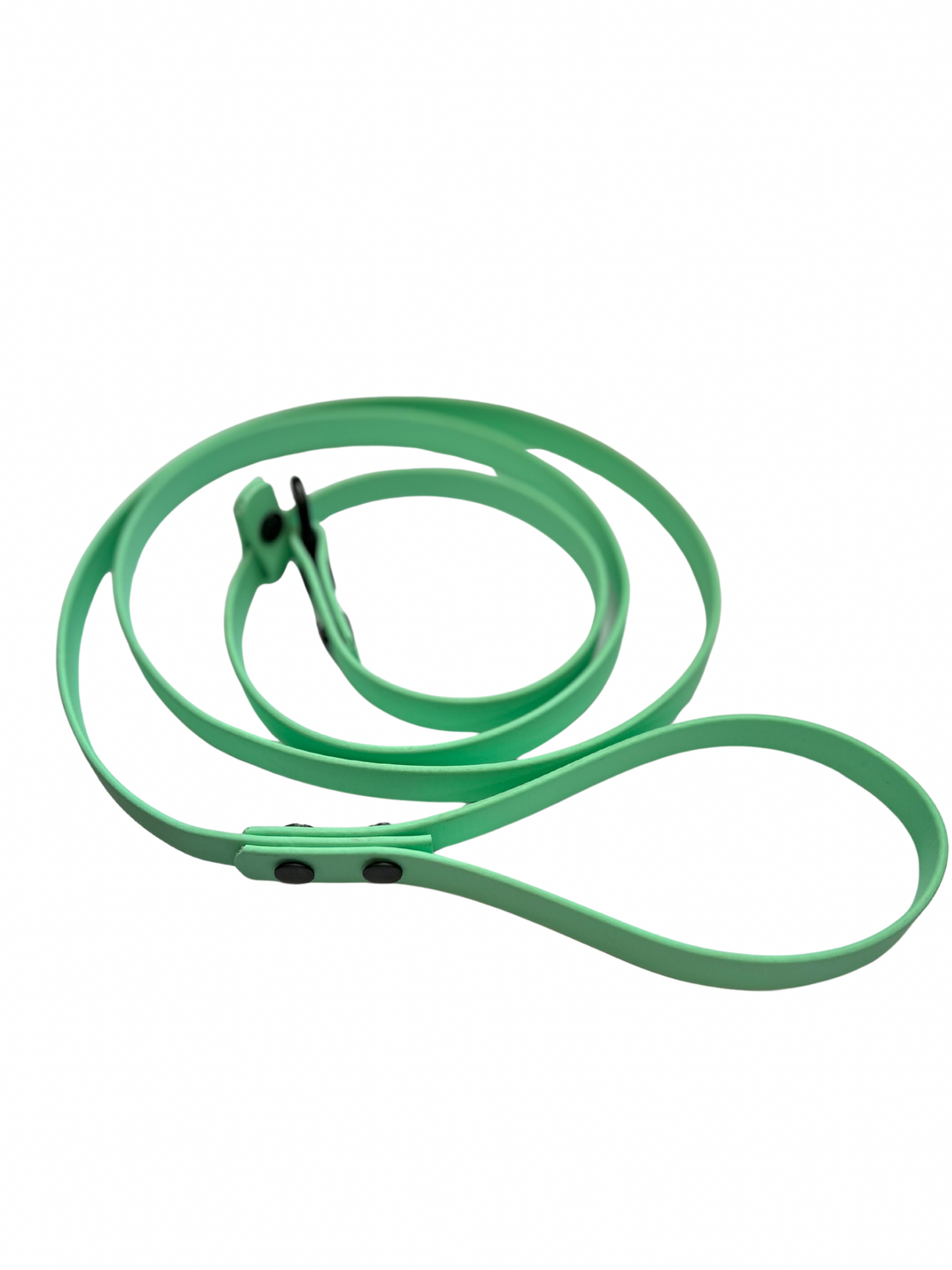 Laisse lasso en Biothane pour chien - Fait Main au Québec