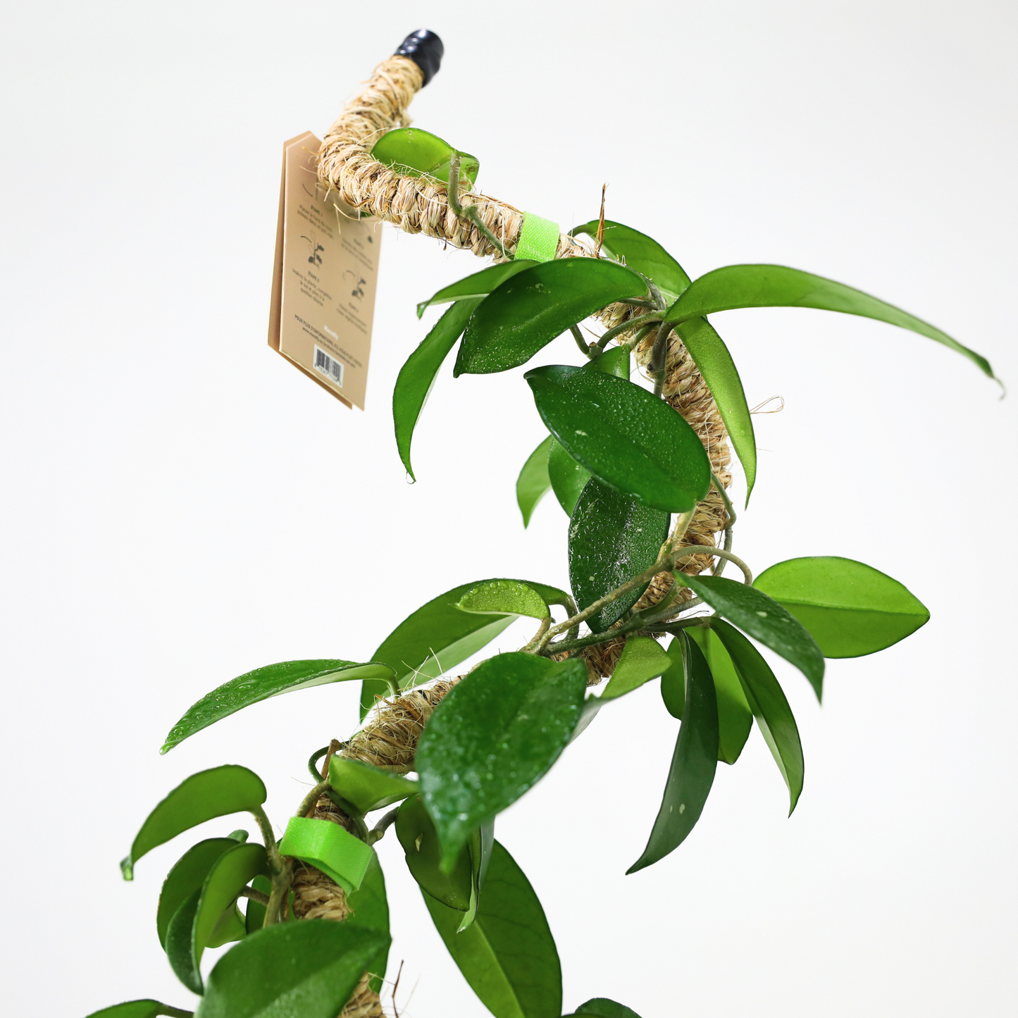 The Original Bendable Coir Pole™ - Best Seller (Tape Included)