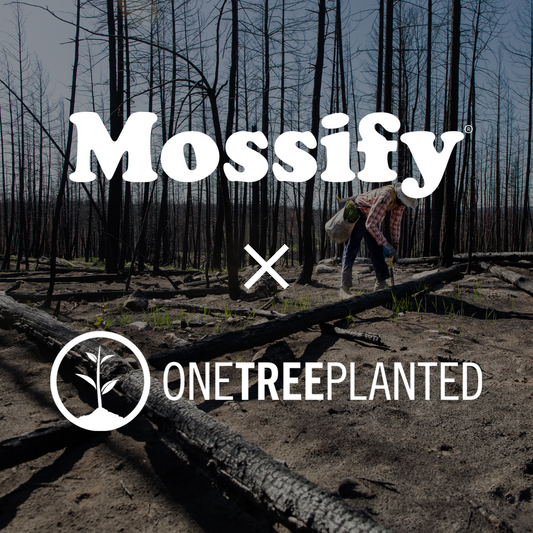 Donation to One Tree Planted
