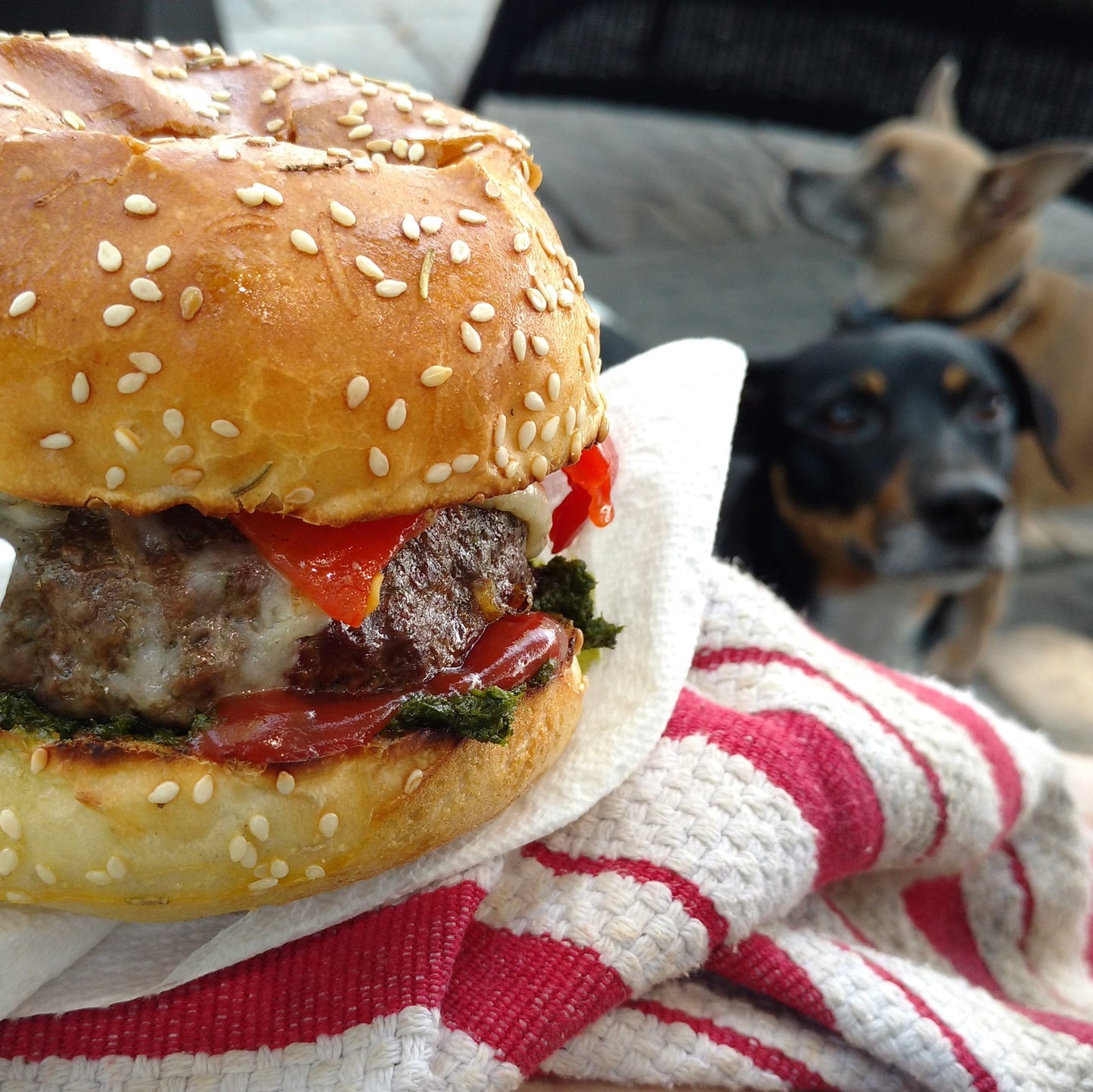 Bay Burger Blend