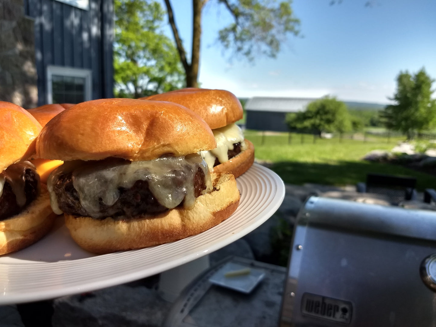 Bay Burger Blend