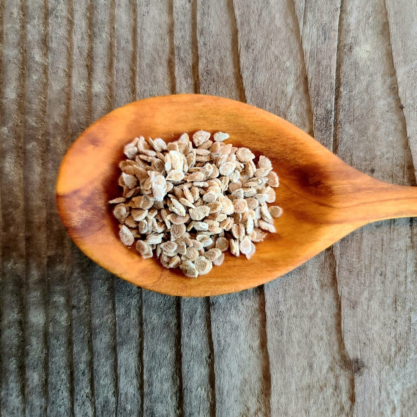 Cherokee Giant Green Tomato