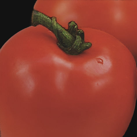 Best of All Tomato