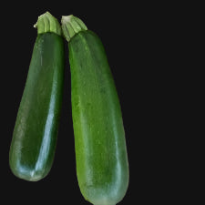 Black Beauty Zucchini