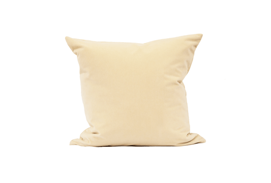 Brie Velvet Cushion Cover