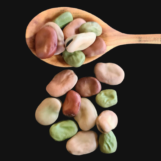 Broad Bean Mix