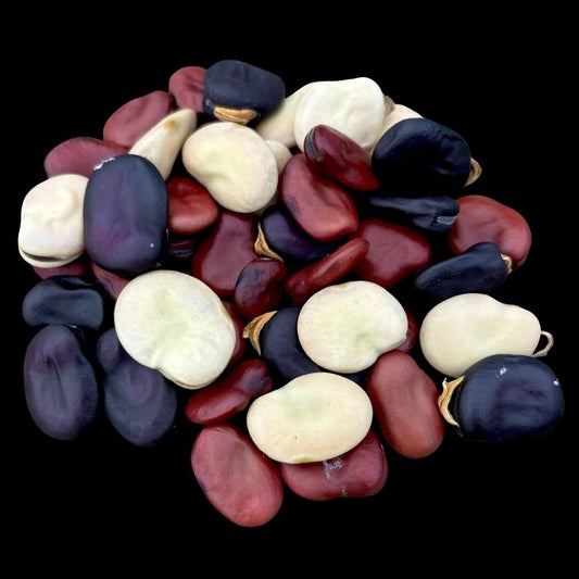 Broad Bean Mix