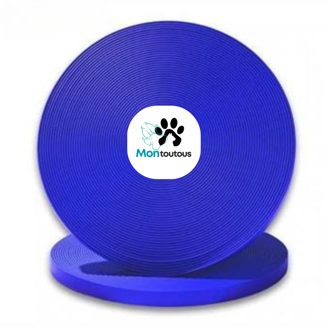 Collier en Biothane pour chat - fait main au Québec