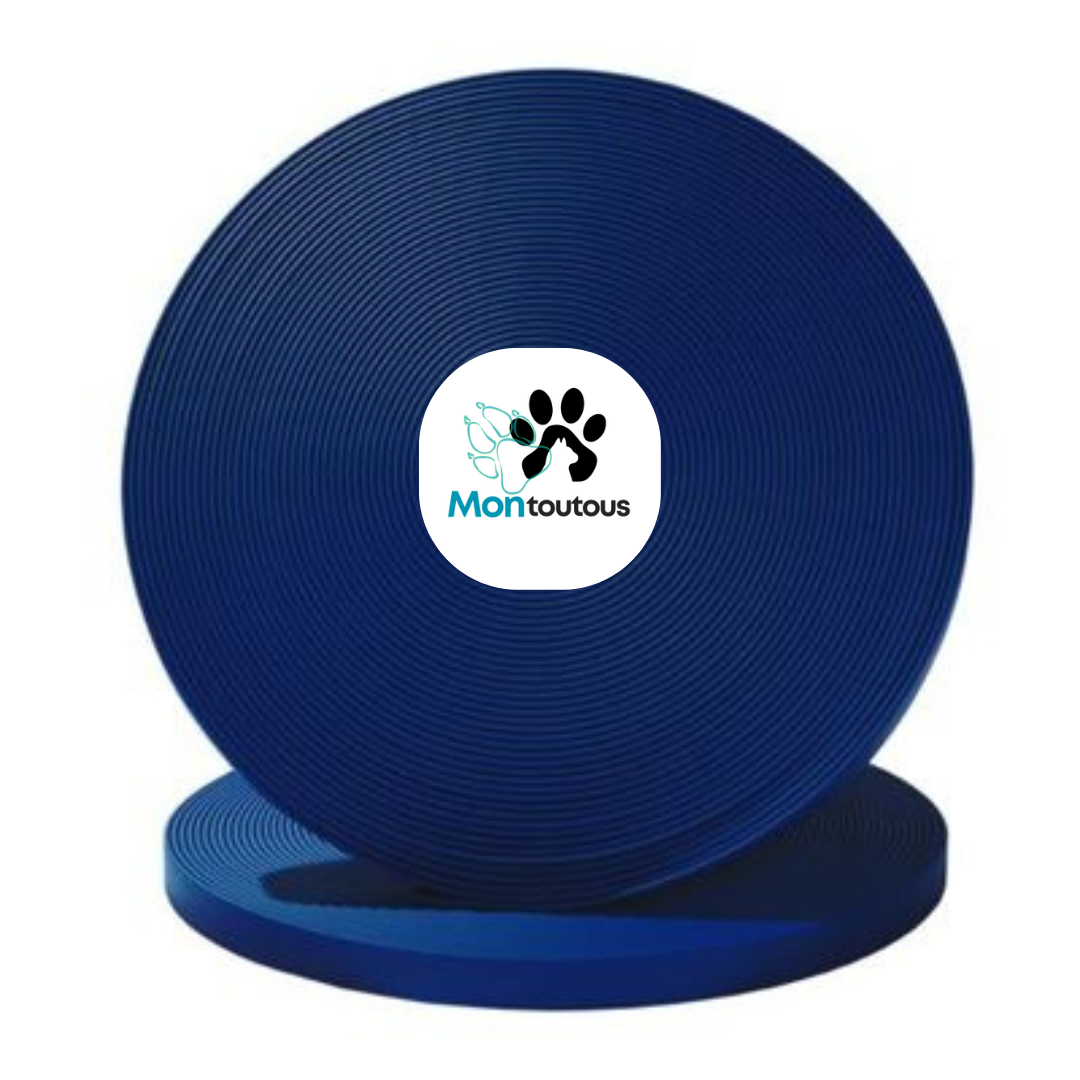 Collier en Biothane pour chat - fait main au Québec