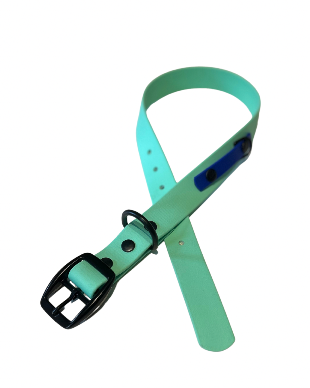 Collier en Biothane pour chien- Fait Main au Québec