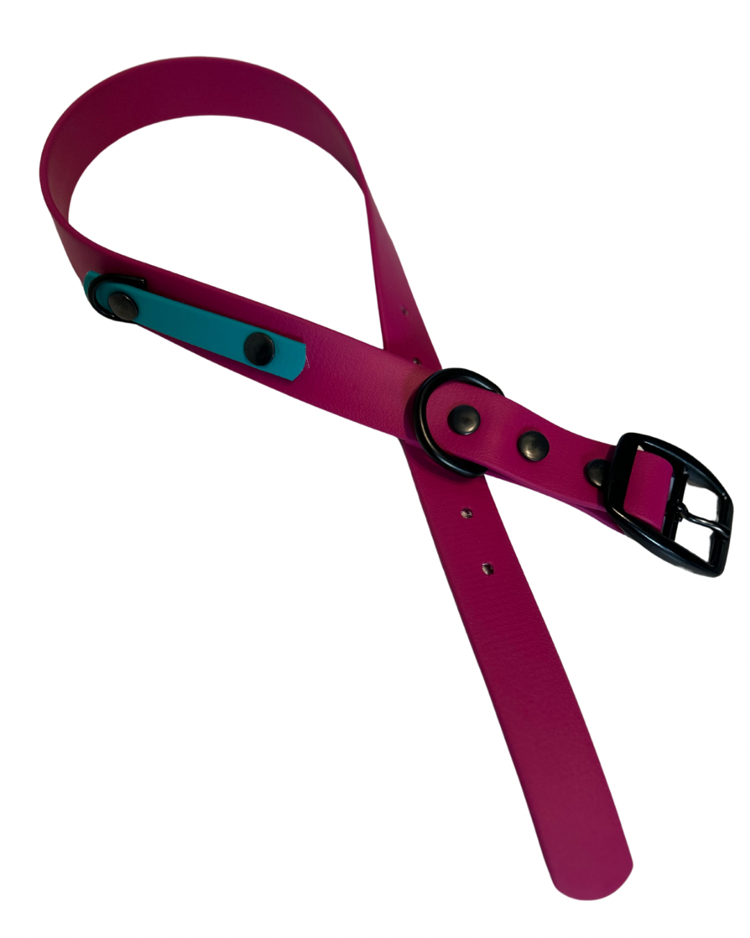 Collier en Biothane pour chien- Fait Main au Québec