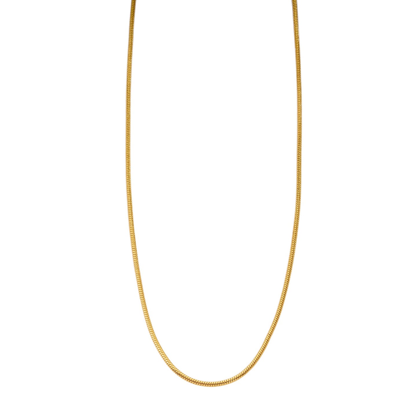 CHASTITY: Dainty Snake Skin Textured Gold Chain Necklace