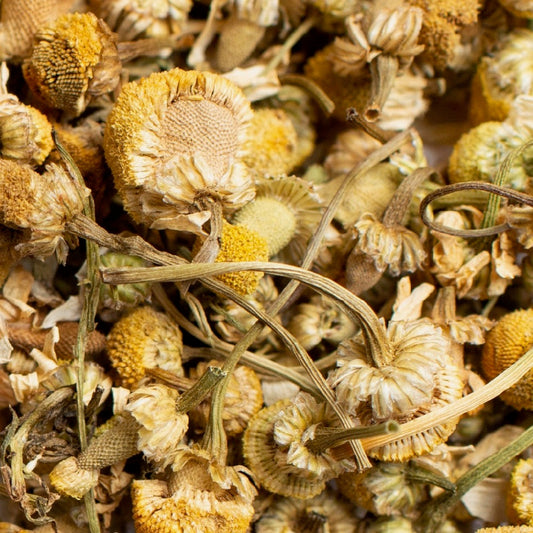 Organic Chamomile