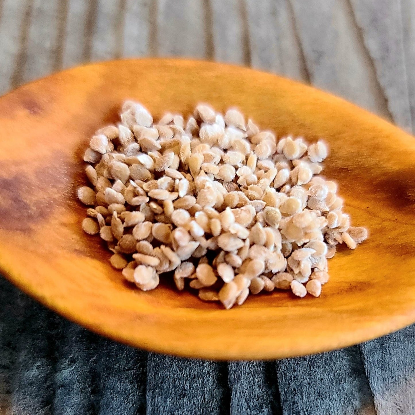 Strawberry Cherry Tomato