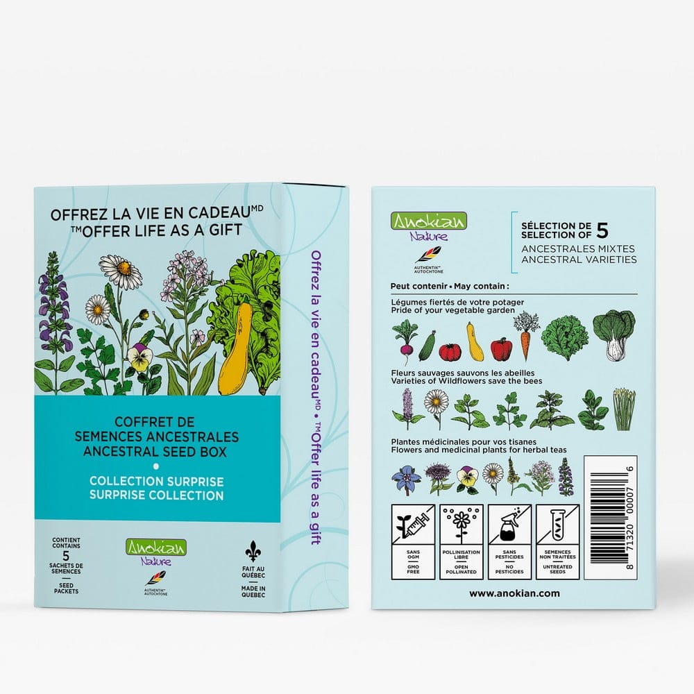 Coffret | Collection Surprise