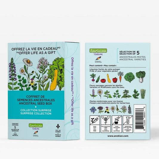 Coffret | Collection Surprise