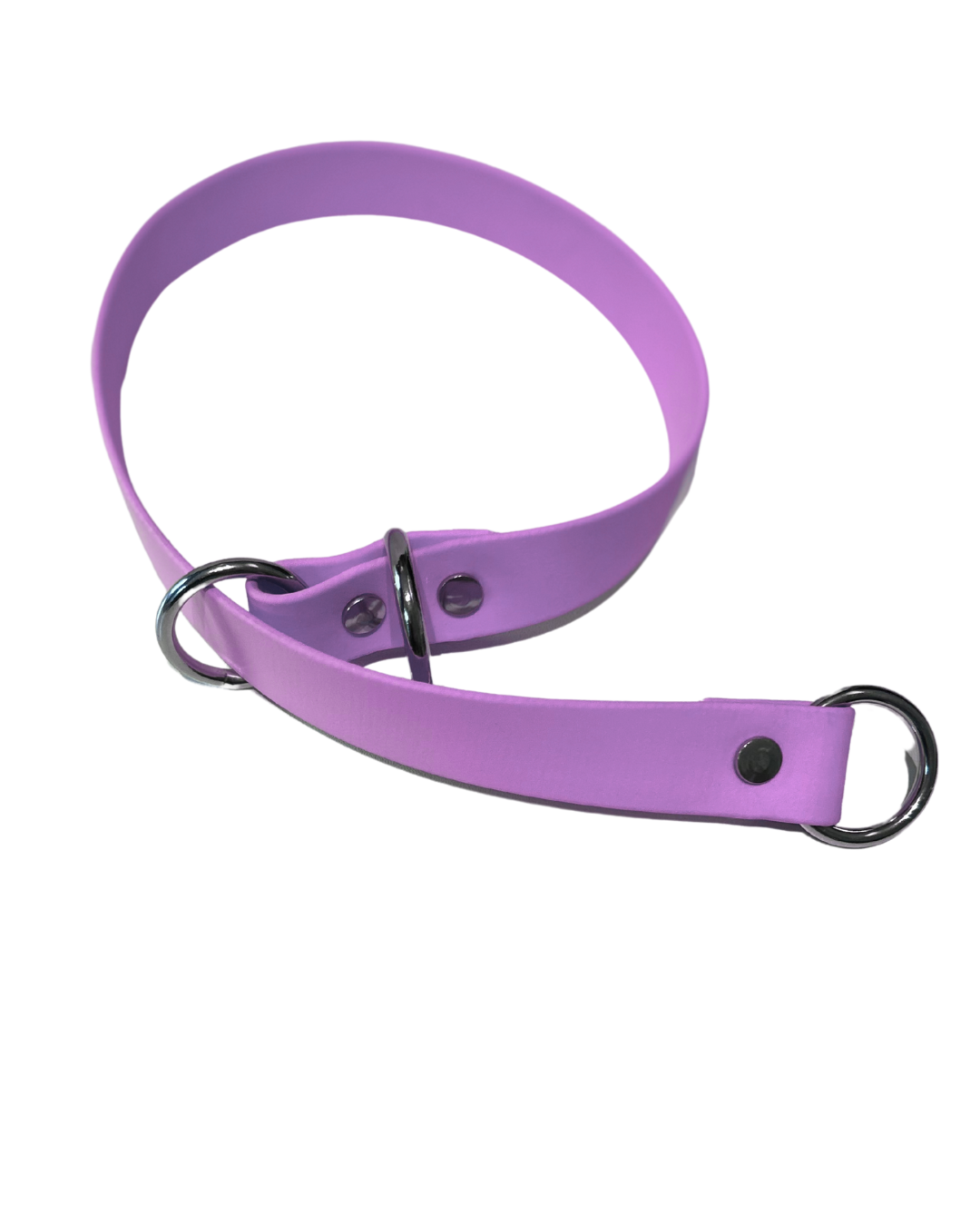 Collier Slip en Biothane pour chien - Fait Main au Québec