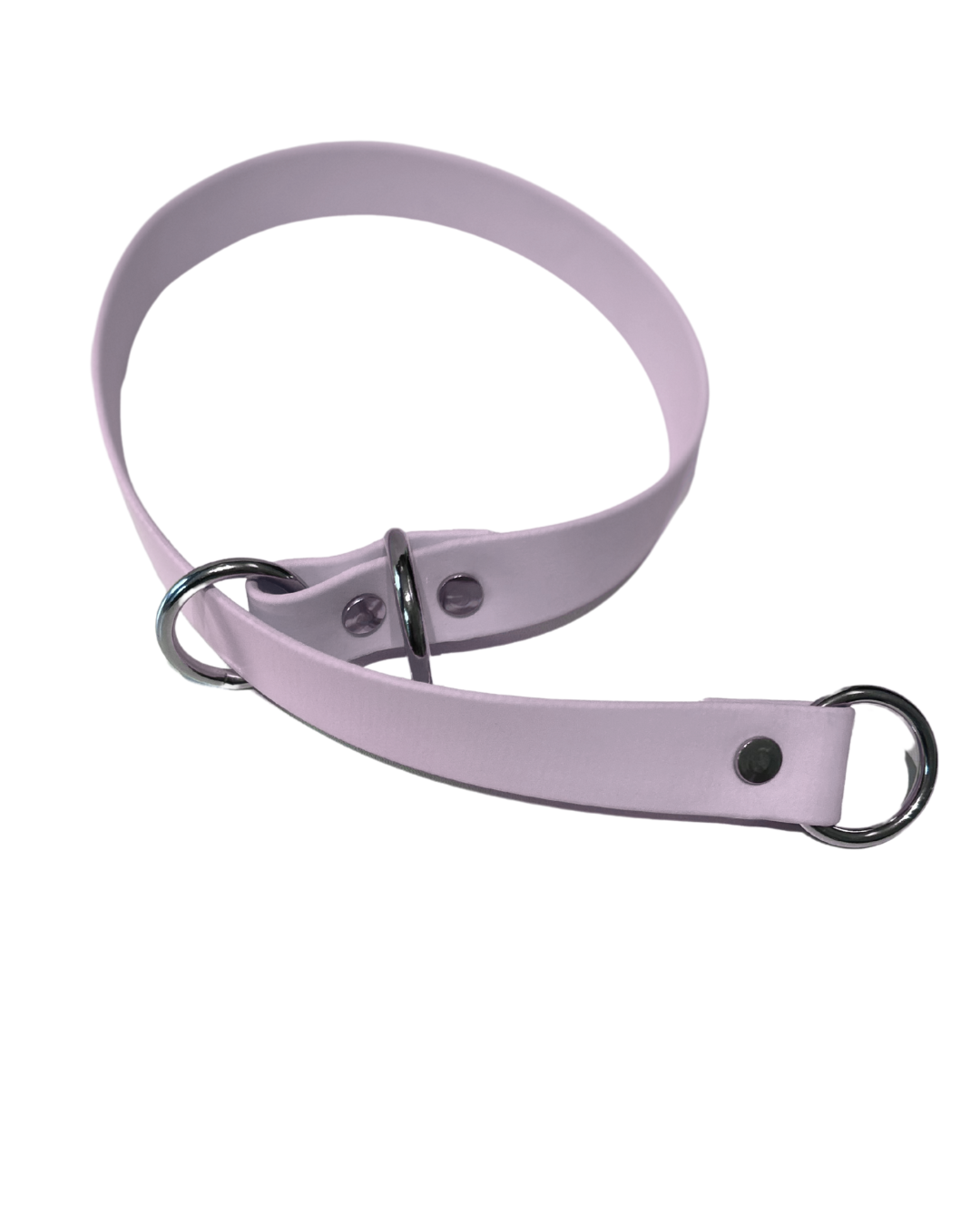 Collier Slip en Biothane pour chien - Fait Main au Québec