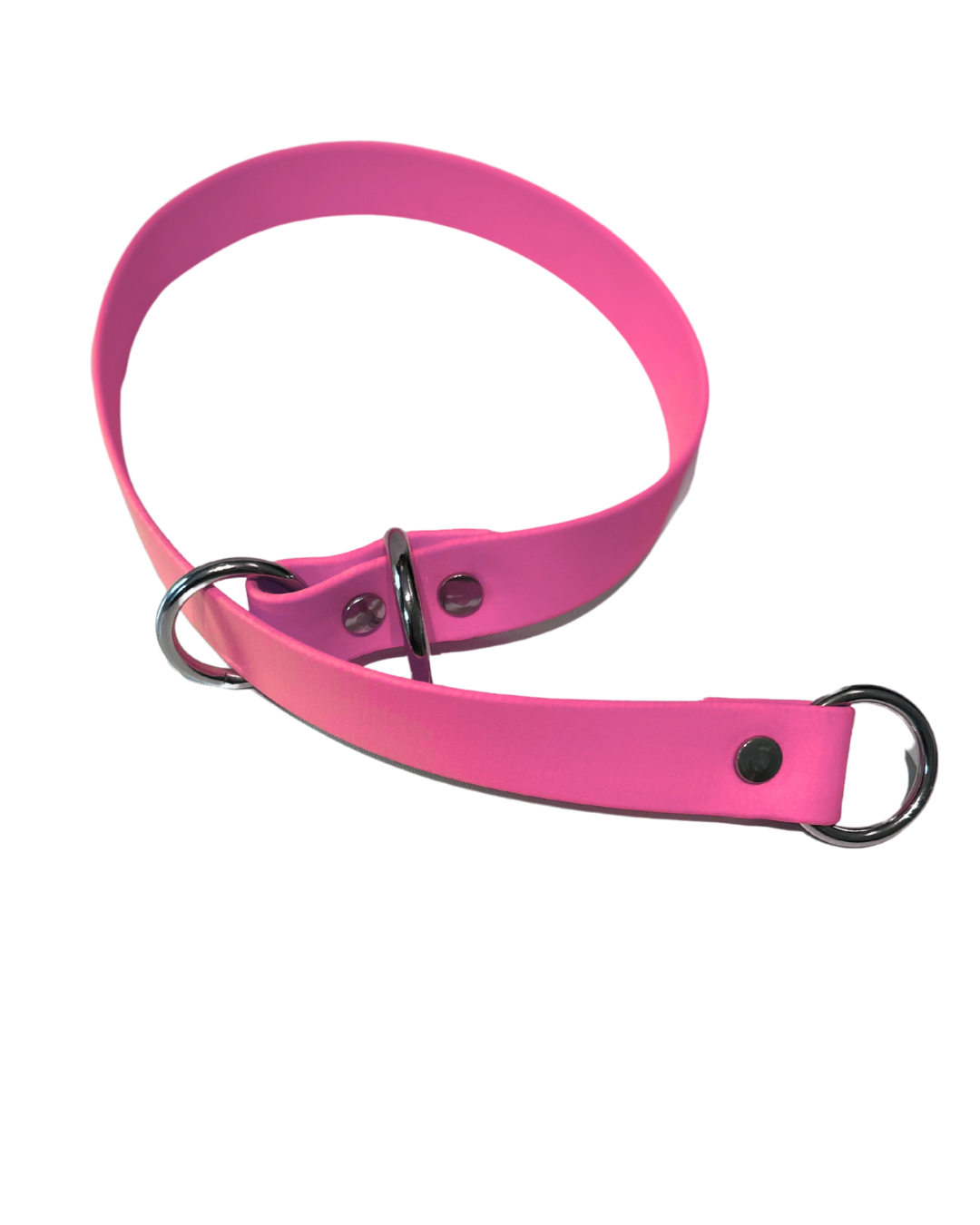 Collier Slip en Biothane pour chien - Fait Main au Québec