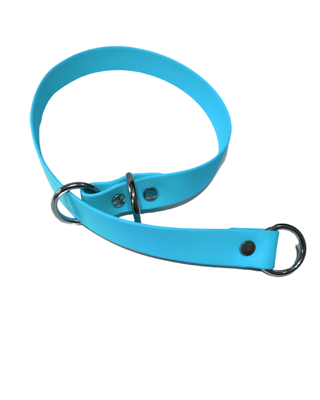 Collier Slip en Biothane pour chien - Fait Main au Québec