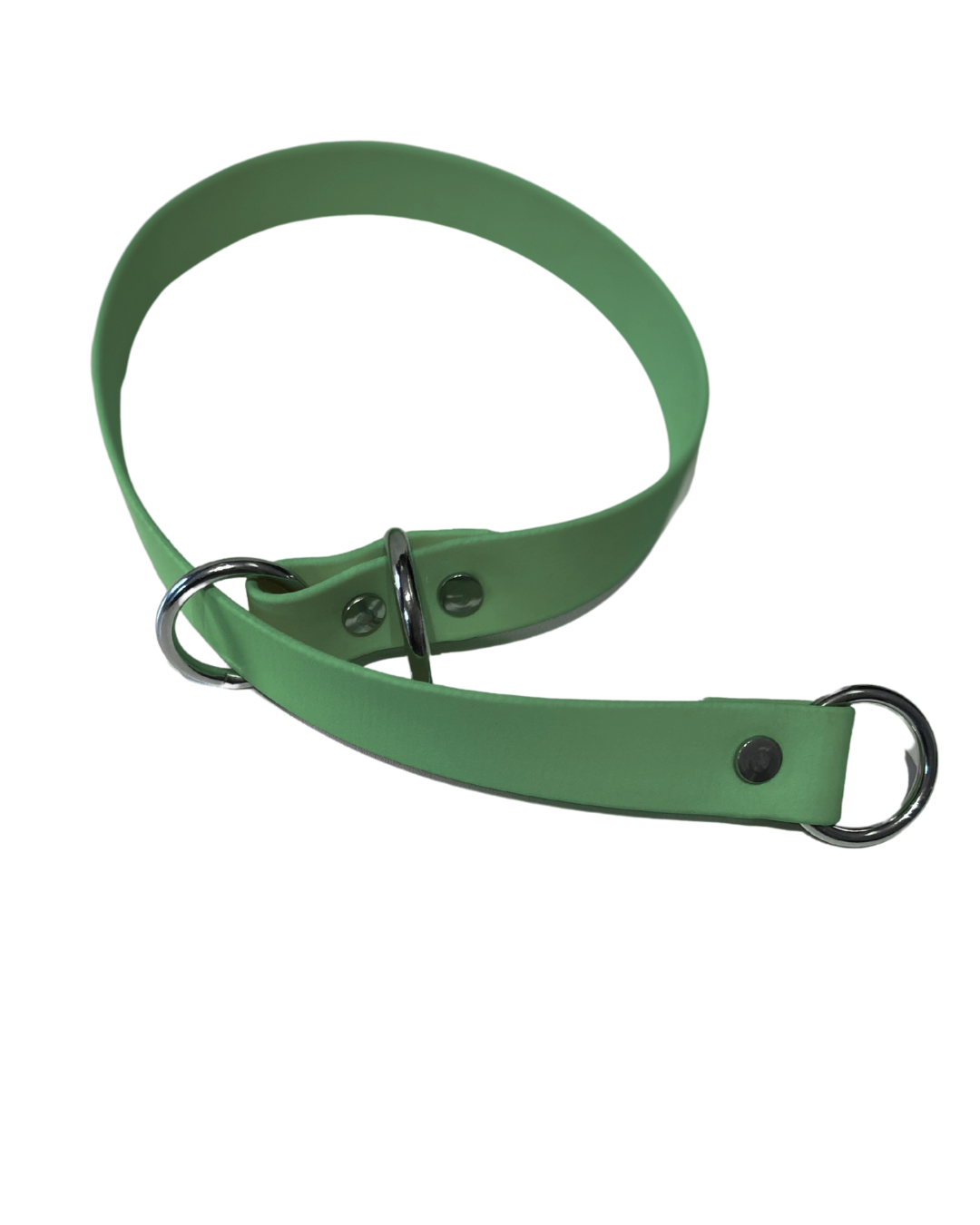 Collier Slip en Biothane pour chien - Fait Main au Québec