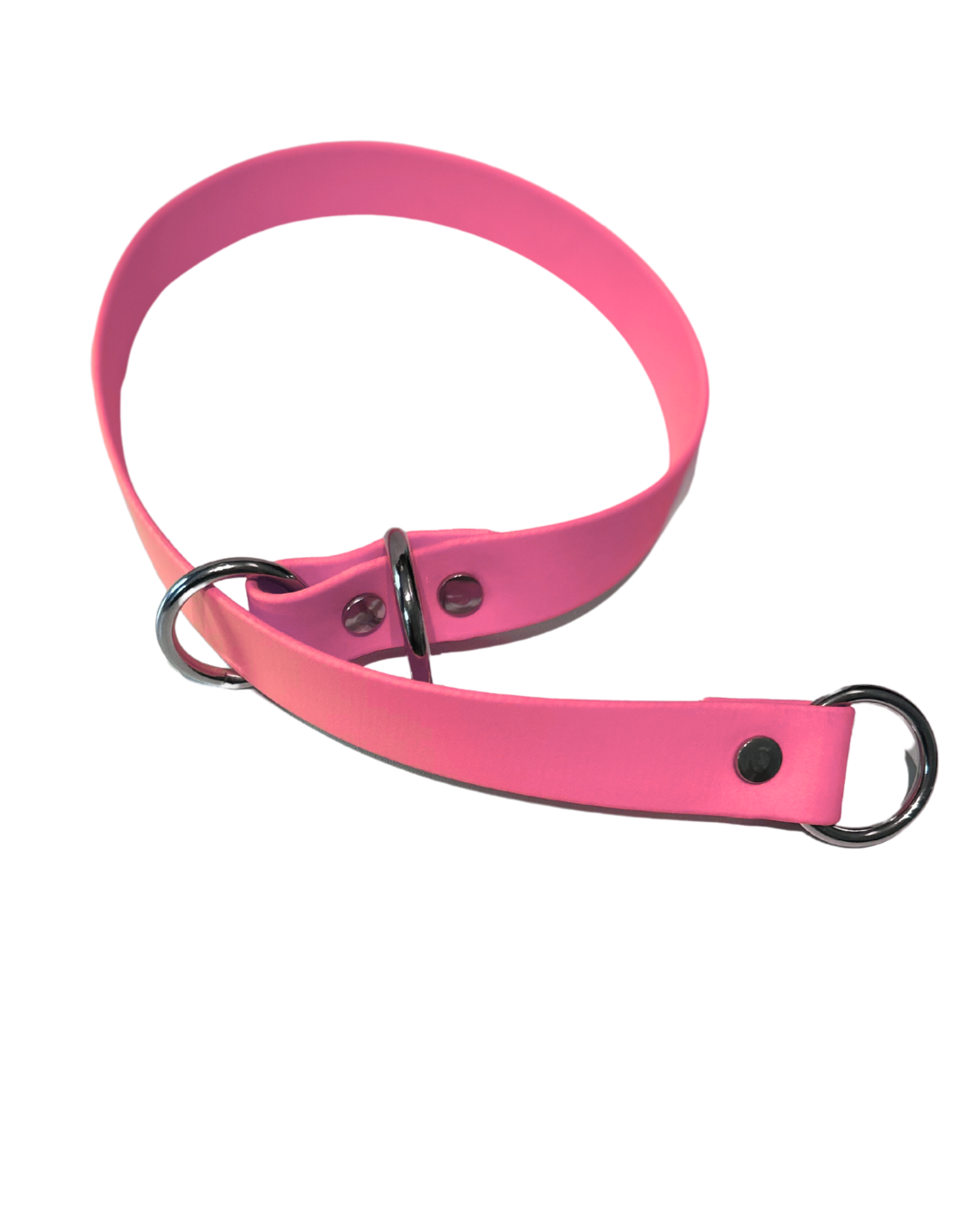 Collier Slip en Biothane pour chien - Fait Main au Québec