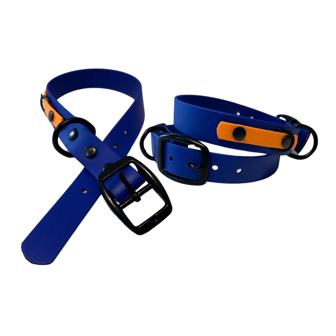 Collier en Biothane pour chien- Fait Main au Québec