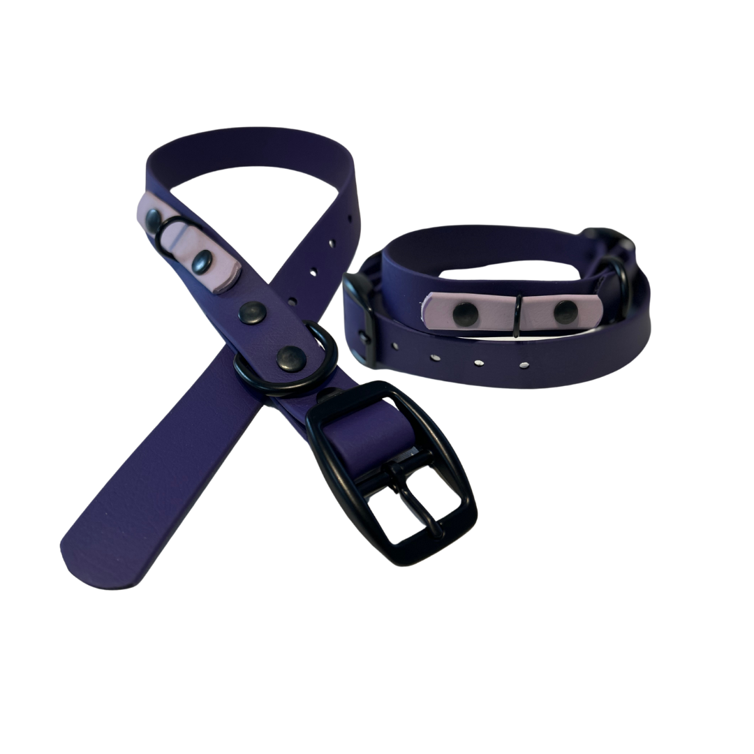 Collier en Biothane pour chien- Fait Main au Québec