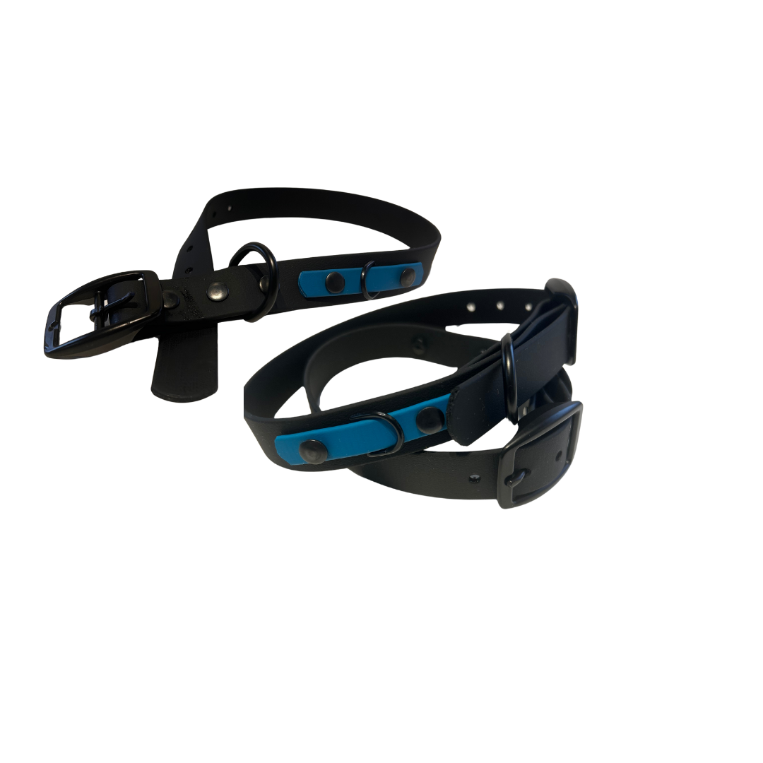 Collier en Biothane pour chien- Fait Main au Québec