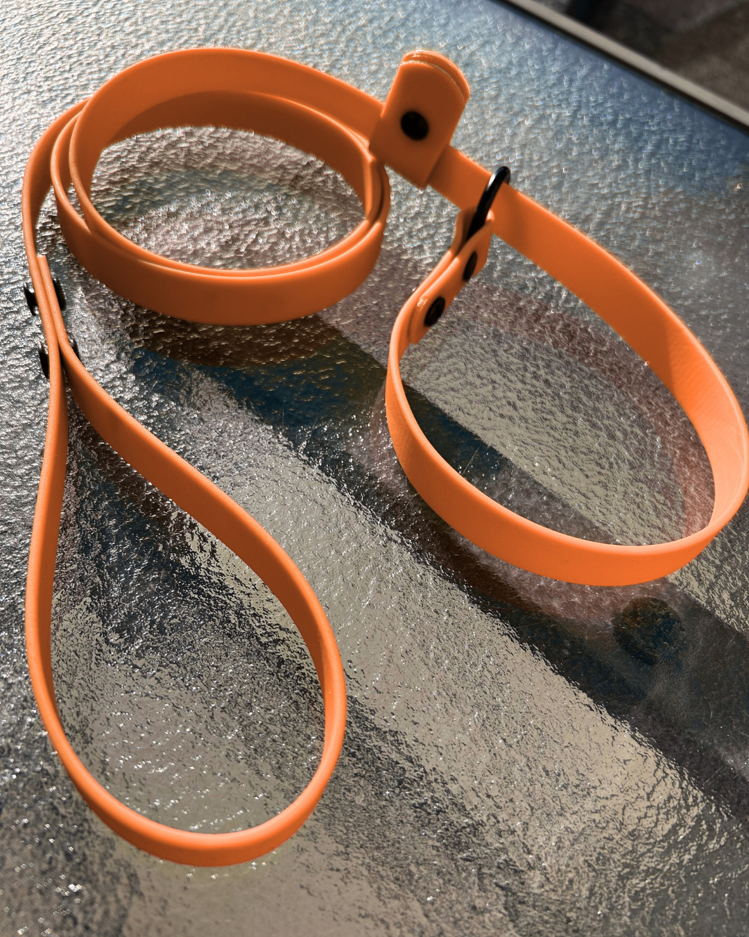 Laisse lasso en Biothane pour chien - Fait Main au Québec