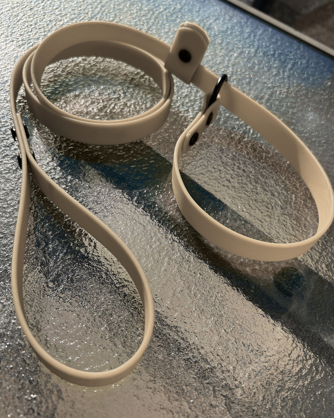 Laisse lasso en Biothane pour chien - Fait Main au Québec